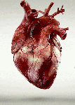 Fonte da Imagem: plus.google.com