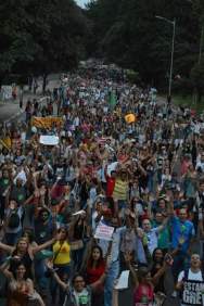 Greve dos Professores - Rede Estadual de Ensino - São Paulo - Imagens desmentem os números divulgados pela "grande mídia". (02/04/2015)